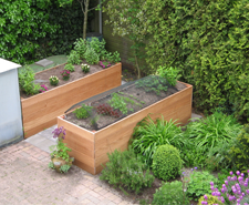 Tuin op niveau 2007
